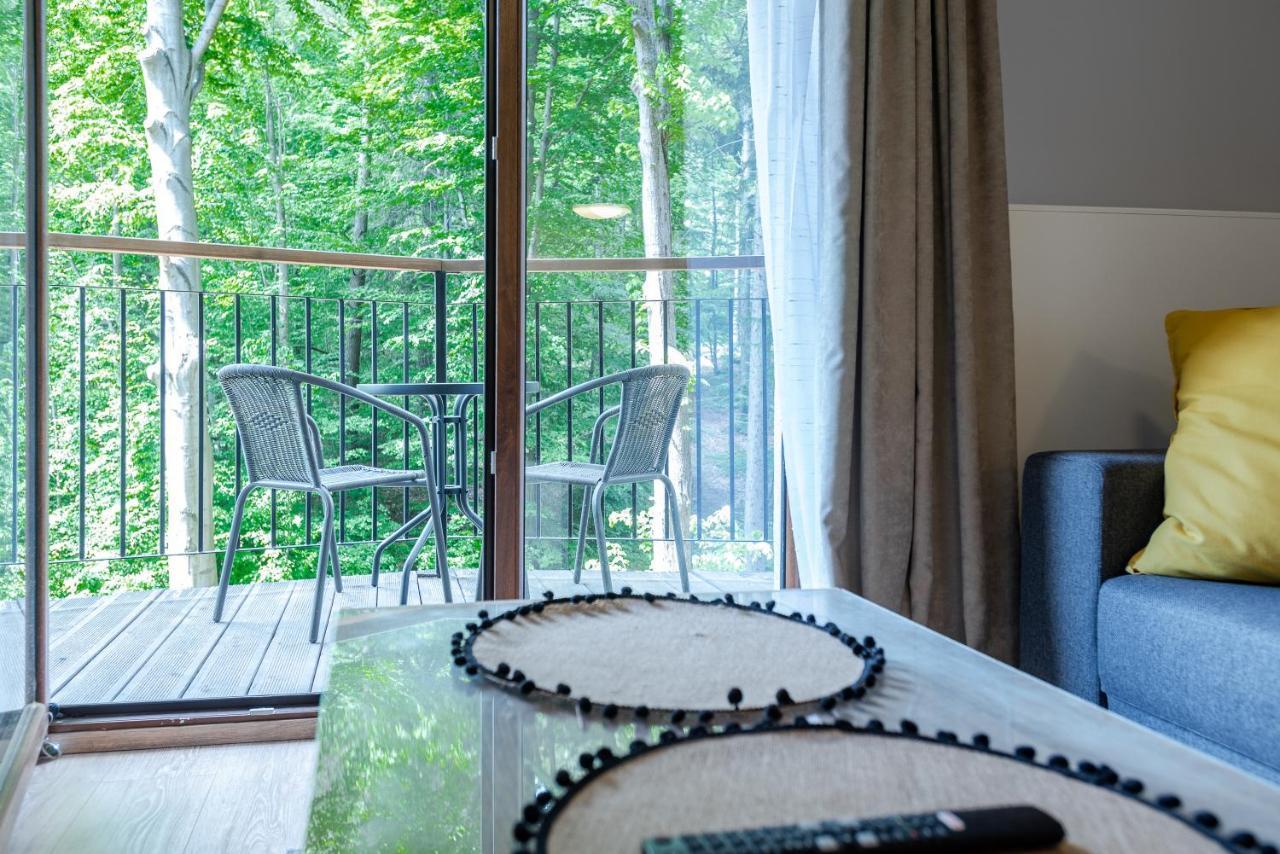 Apartmament Nowy Widok Na Las Szklarska Poręba Buitenkant foto